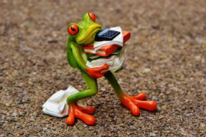 Est-ce que tu vis le syndrome de la grenouille en entreprise ?